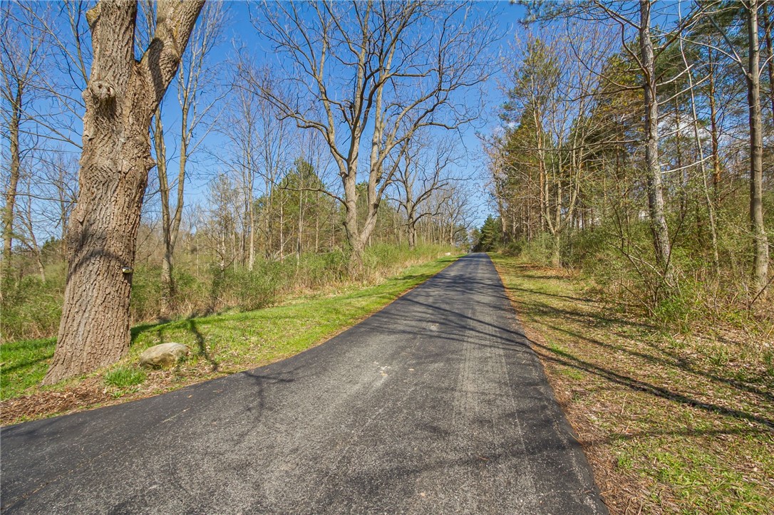 3170 Bailey Road East Bloomfield, NY 14469 - Photo 42 of 46