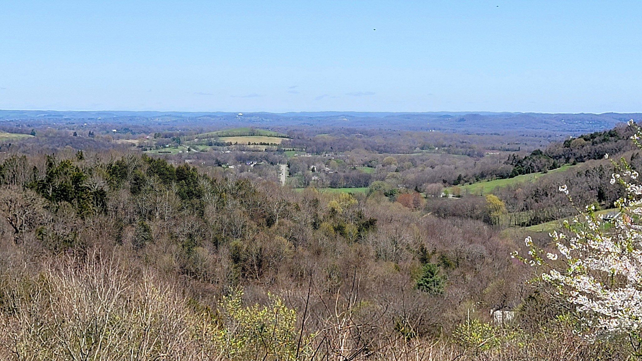 2037 Peach Orchard Road Culleoka, TN 38451 - Photo 30 of 50 Gallery Image 30