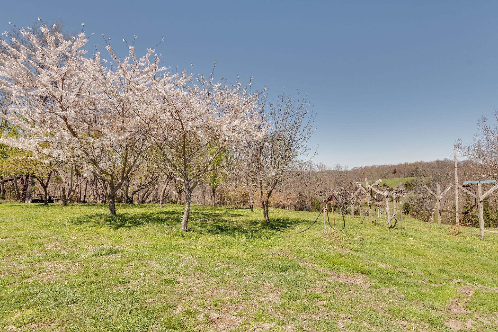 2037 Peach Orchard Road Culleoka, TN 38451 - Photo 44 of 50 Gallery Image 44