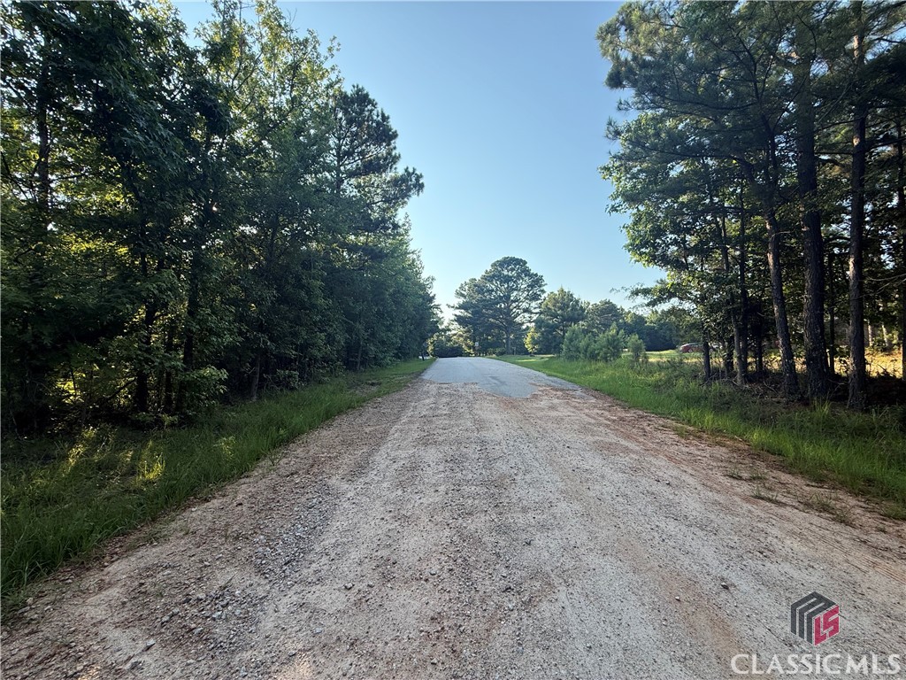 10 Cunningham Road Union Point, GA 30669 - Photo 5 of 8