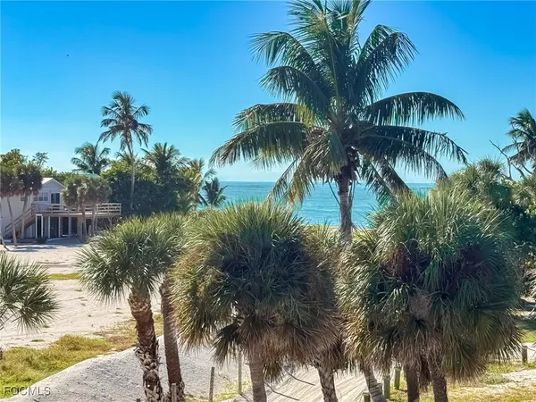 a view of a palm tree with a palm tree
