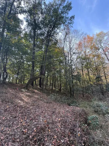 $475,000 | 0 Yellow House Place, Charleston, SC 29492