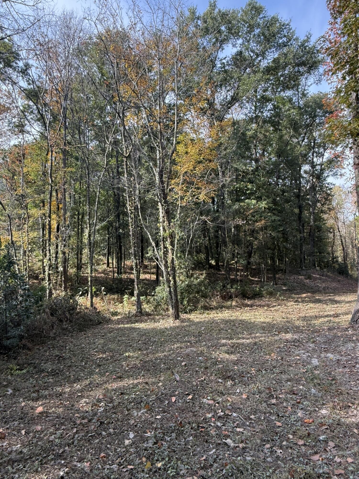 0 Yellow House Place Charleston, SC 29492 - Photo 11 of 25 IMG_1723
