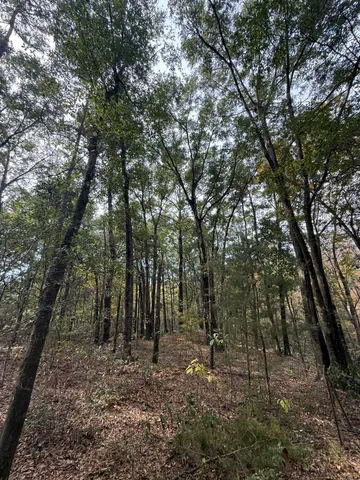 $475,000 | 0 Yellow House Place, Charleston, SC 29492