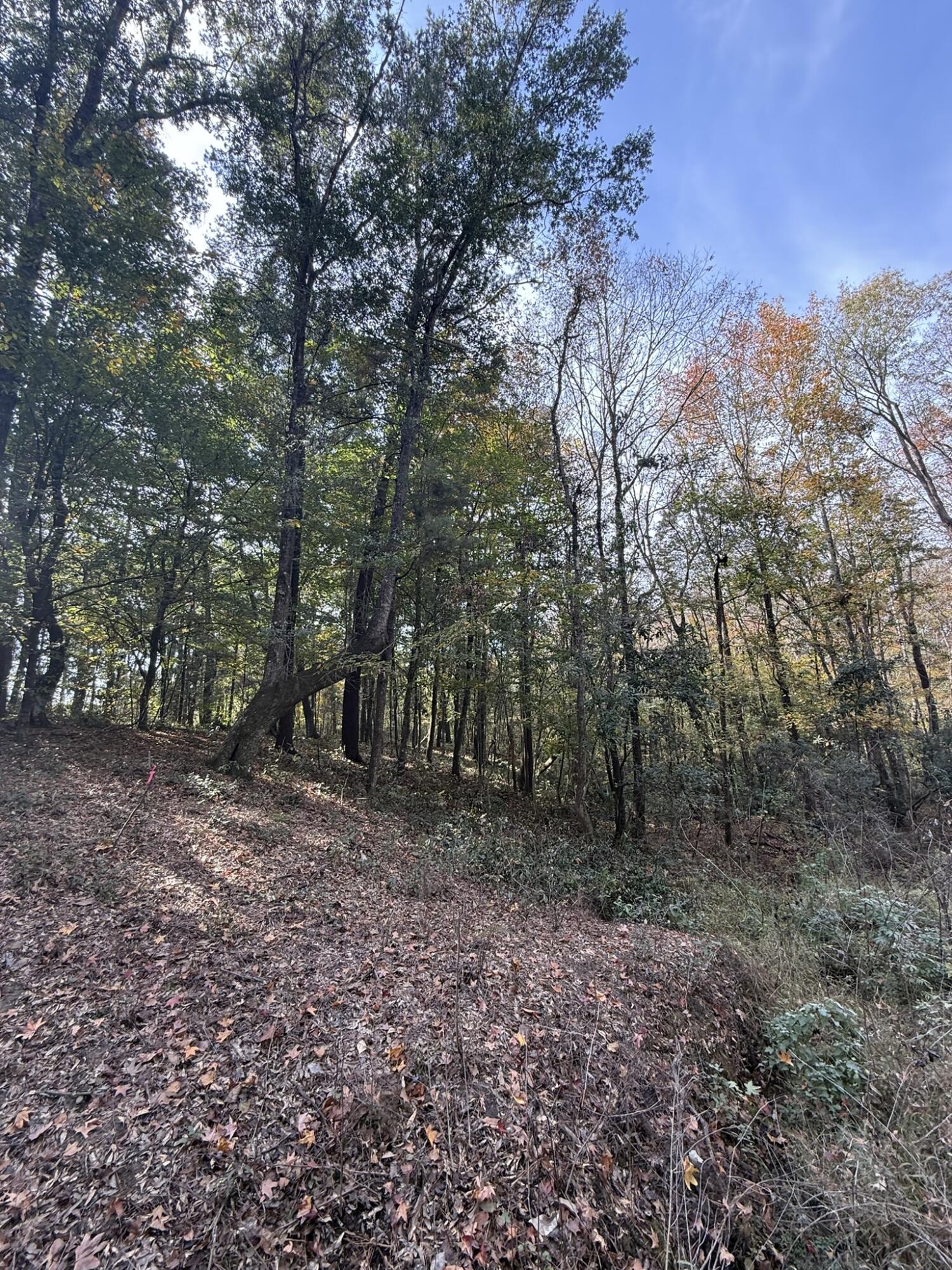 0 Yellow House Place Charleston, SC 29492 - Photo 12 of 25 IMG_1724