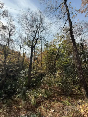 $475,000 | 0 Yellow House Place, Charleston, SC 29492