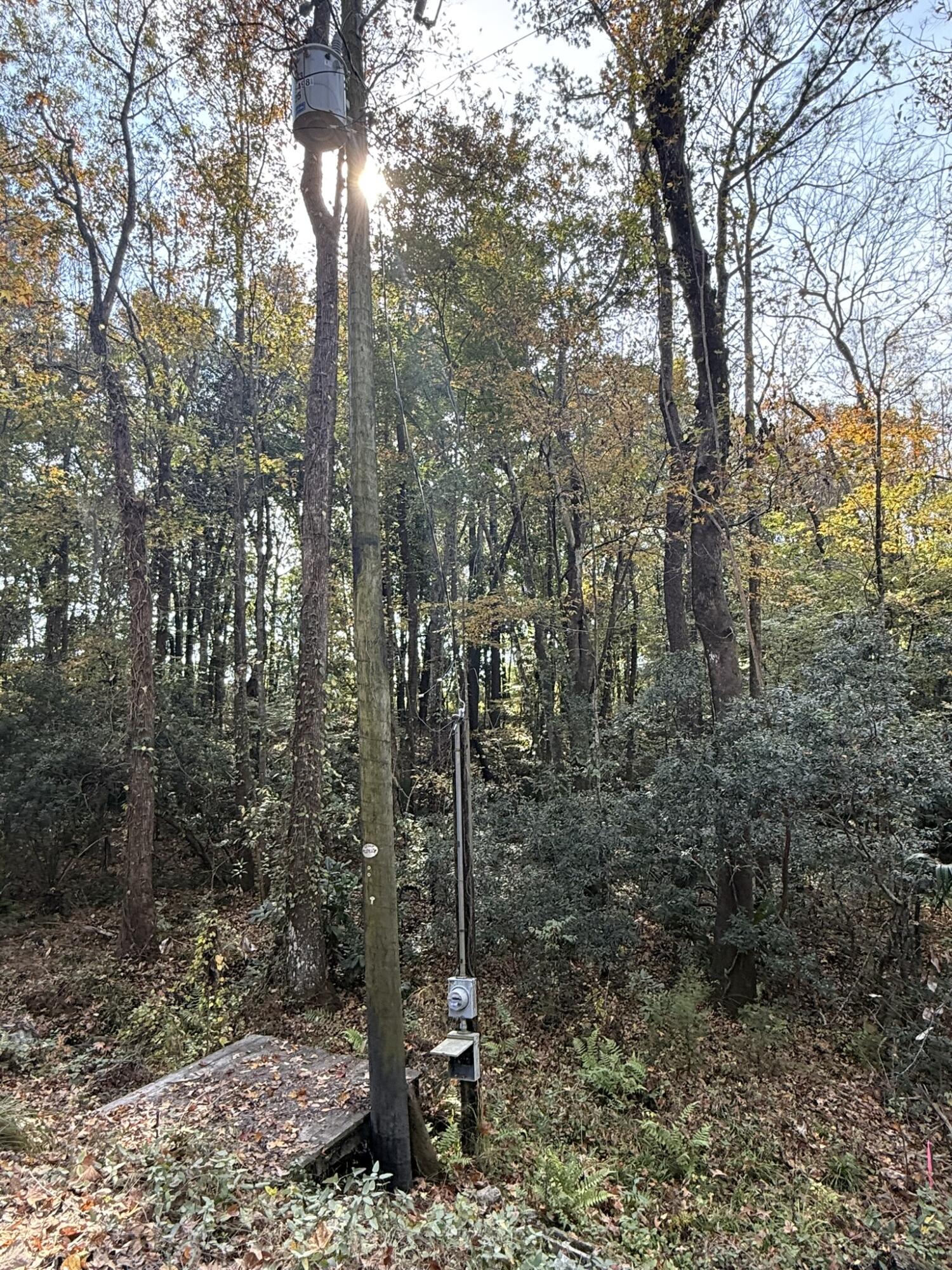 0 Yellow House Place Charleston, SC 29492 - Photo 9 of 25 IMG_1727