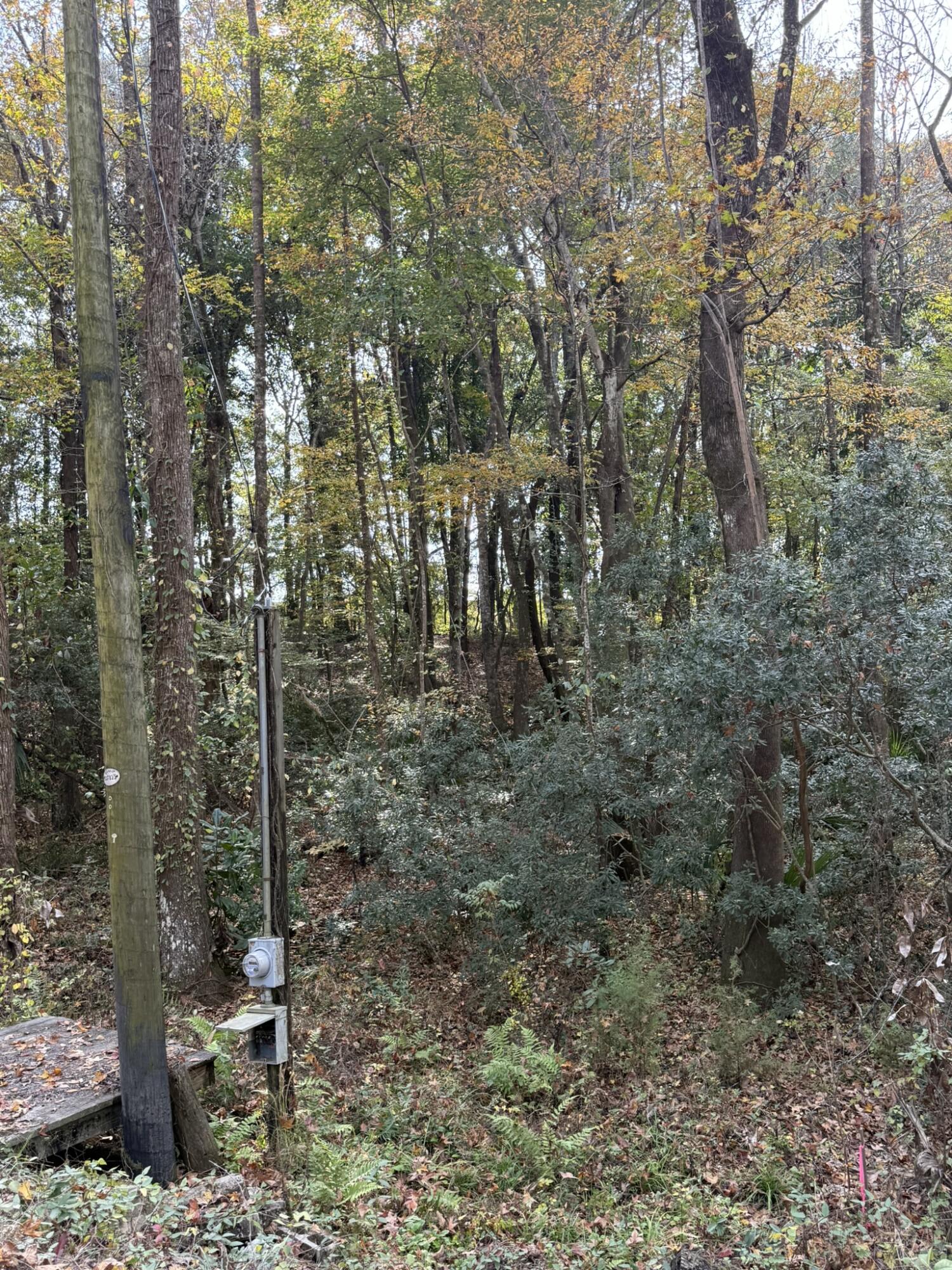 0 Yellow House Place Charleston, SC 29492 - Photo 10 of 25 IMG_1728