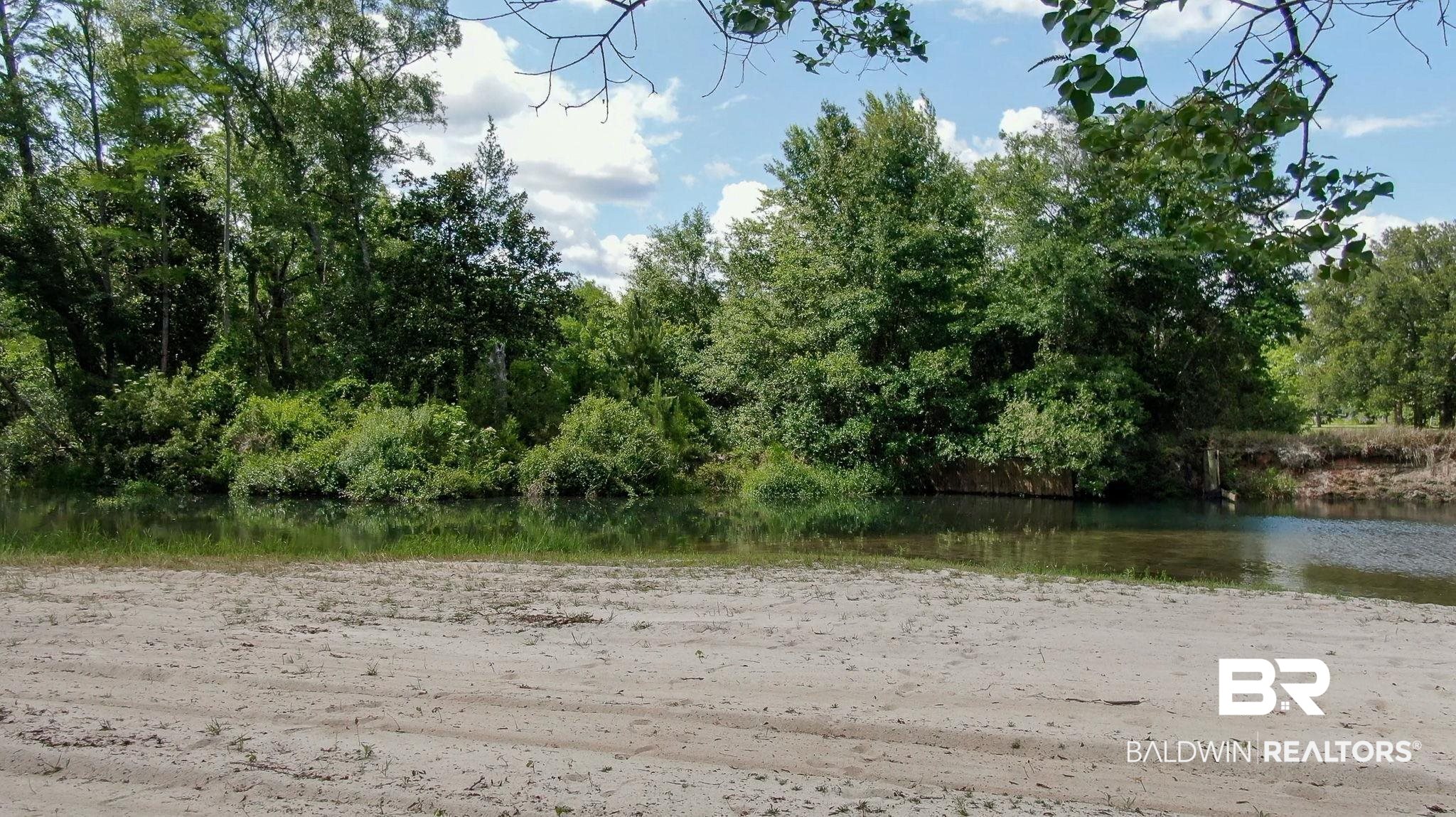 0 Richards Lane Foley, AL 36535 - Photo 6 of 14