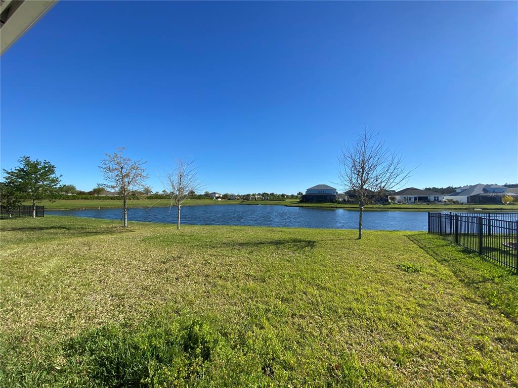 34273 Radley Way Wesley Chapel, FL 33545 - Photo 32 of 38 a view of an ocean & house in a yard