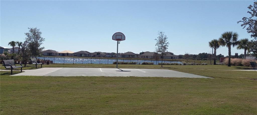 34273 Radley Way Wesley Chapel, FL 33545 - Photo 34 of 38 a view of a swimming pool and trees in the background