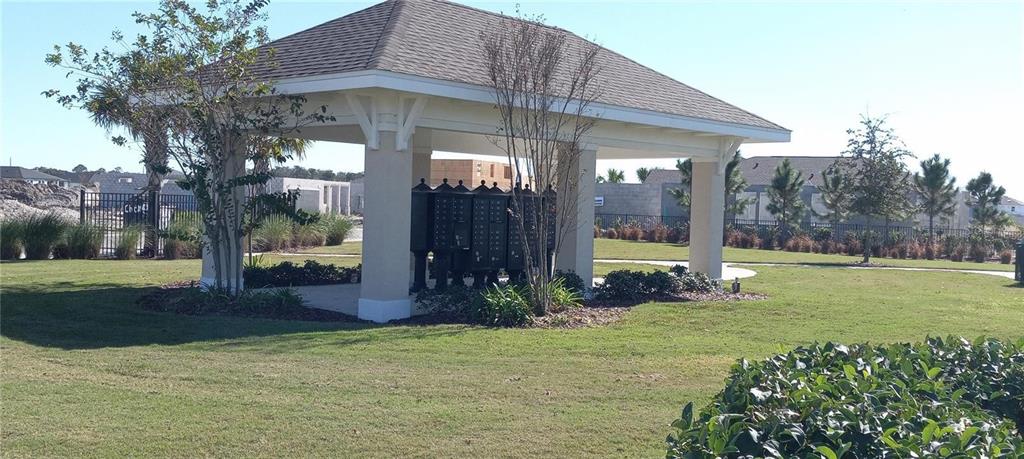 34273 Radley Way Wesley Chapel, FL 33545 - Photo 35 of 38 a view of a house with backyard
