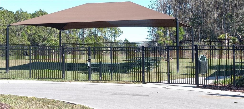 34273 Radley Way Wesley Chapel, FL 33545 - Photo 37 of 38 a view of a yard and a street view