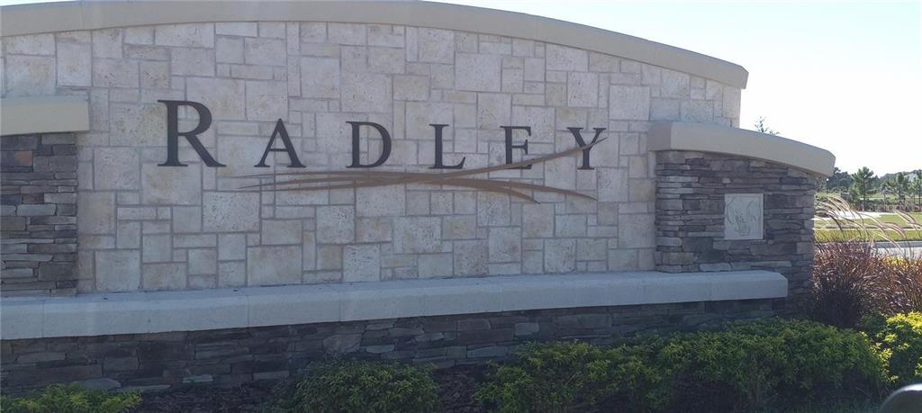 34273 Radley Way Wesley Chapel, FL 33545 - Photo 38 of 38