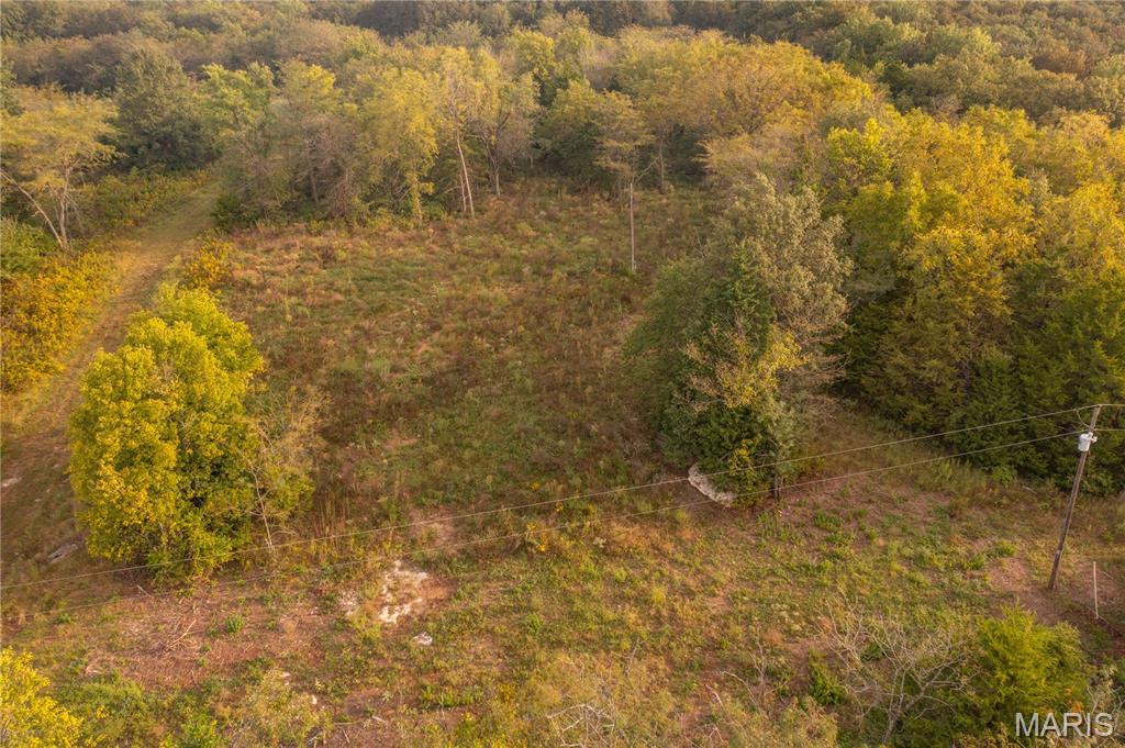 0 Abbott Road Bellflower, MO 63333 - Photo 12 of 86 Gallery Image 12