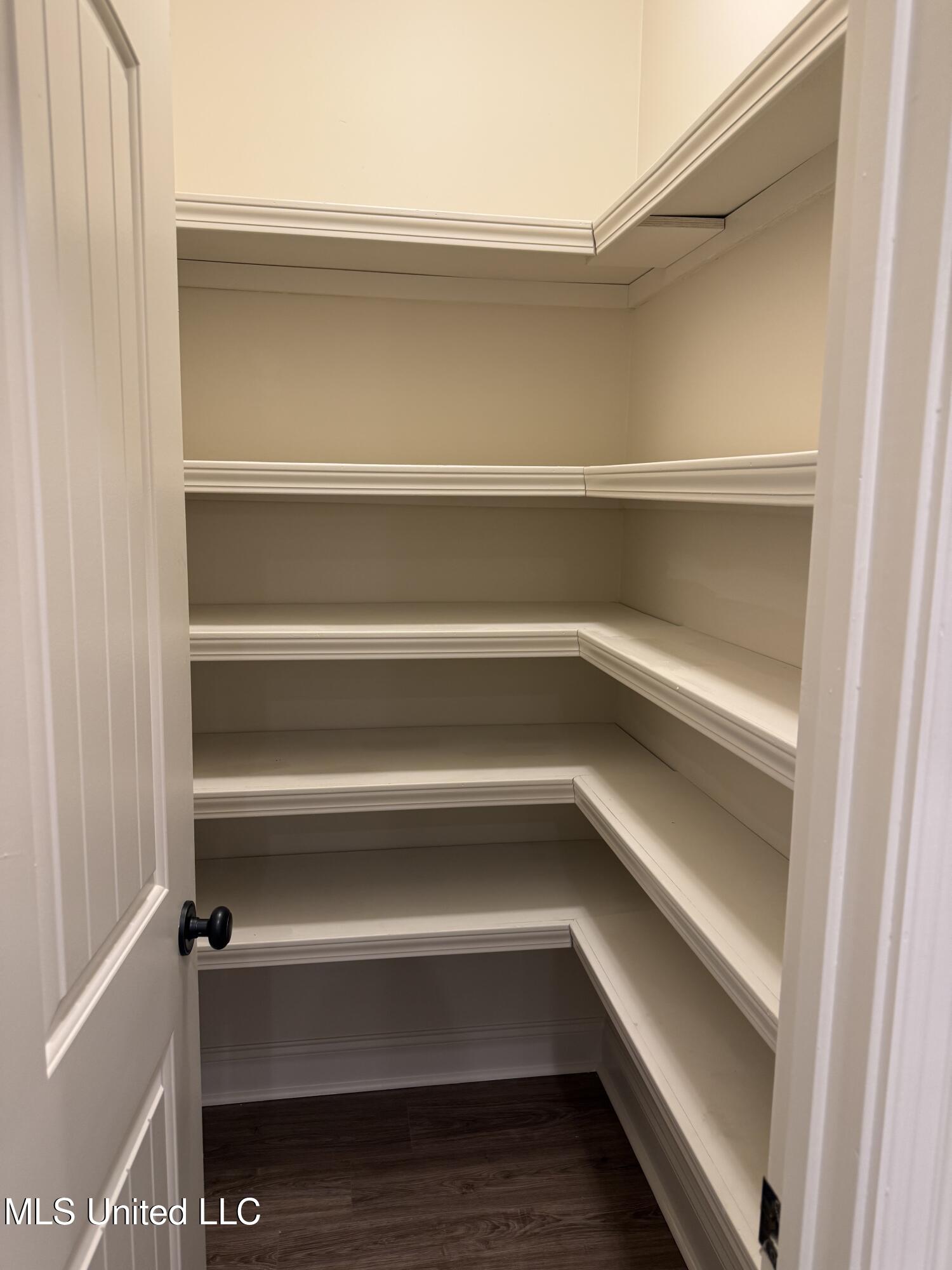 927 Frisky Drive Brandon, MS 39047 - Photo 9 of 13 Pantry