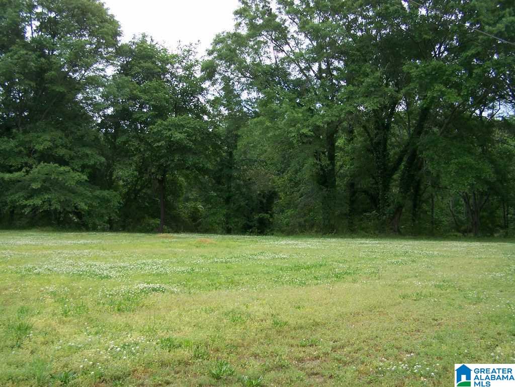 1270 White Plains Road Anniston, AL 36207 - Photo 12 of 44