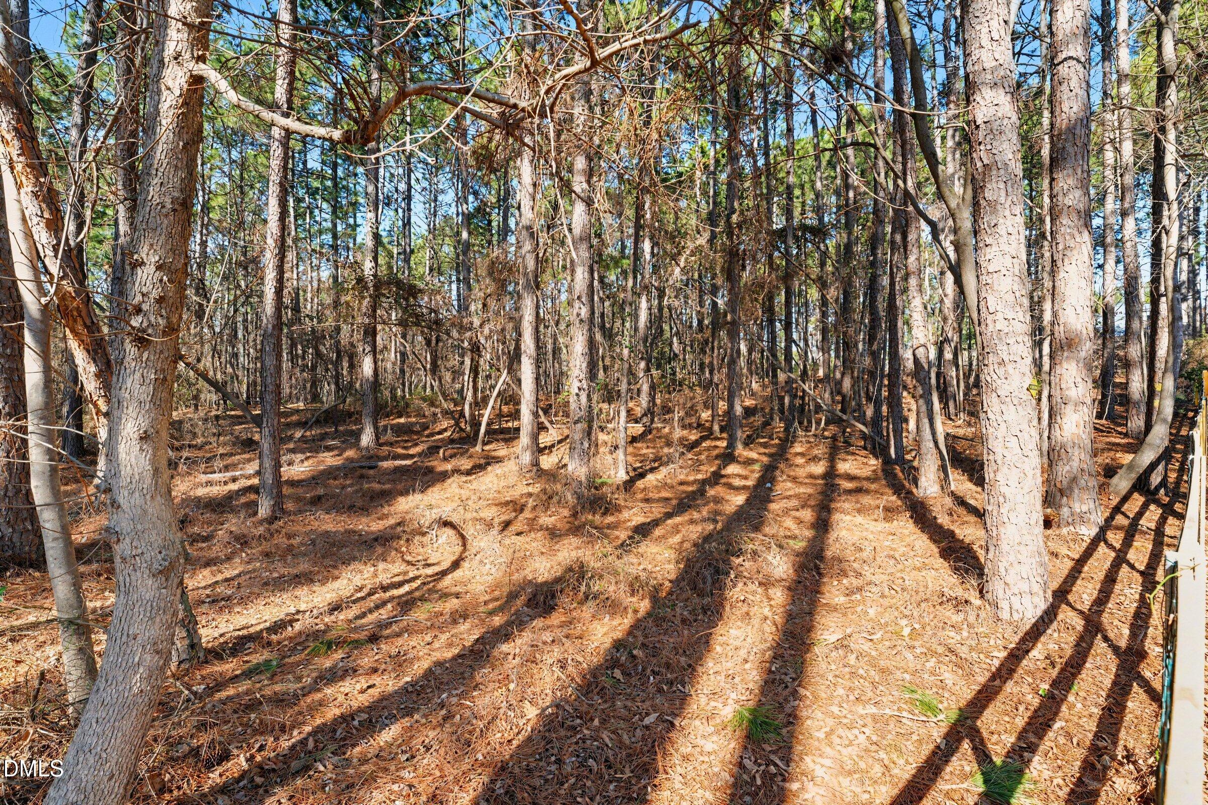7613 Trappers Road Fayetteville, NC 28311 - Photo 45 of 50 007_file_9660