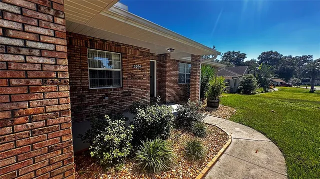 a view of a garden with a slide