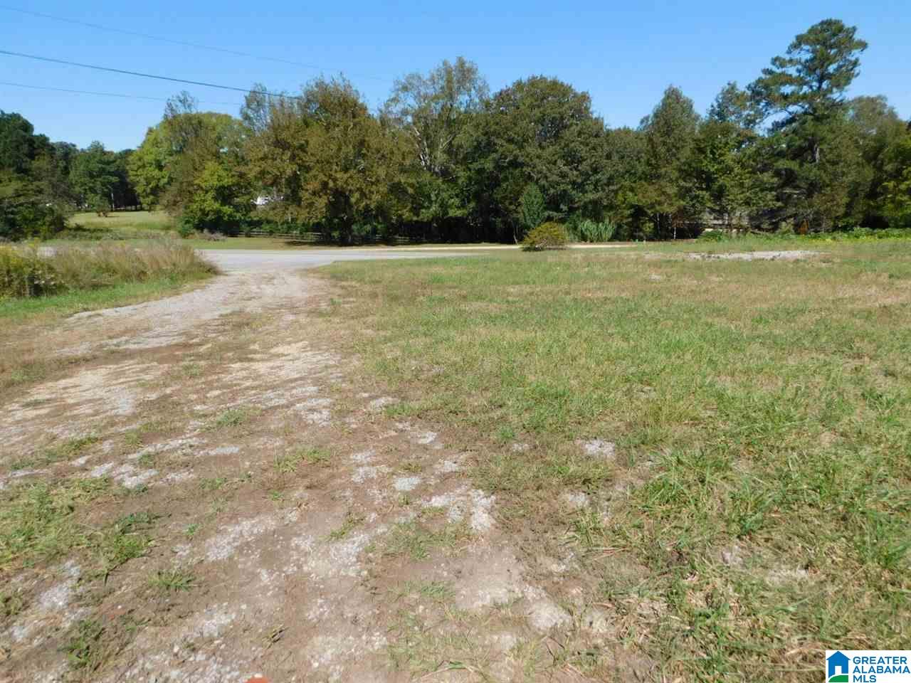0 Highway 231, Unit 1 Oneonta, AL 35121 - Photo 4 of 6