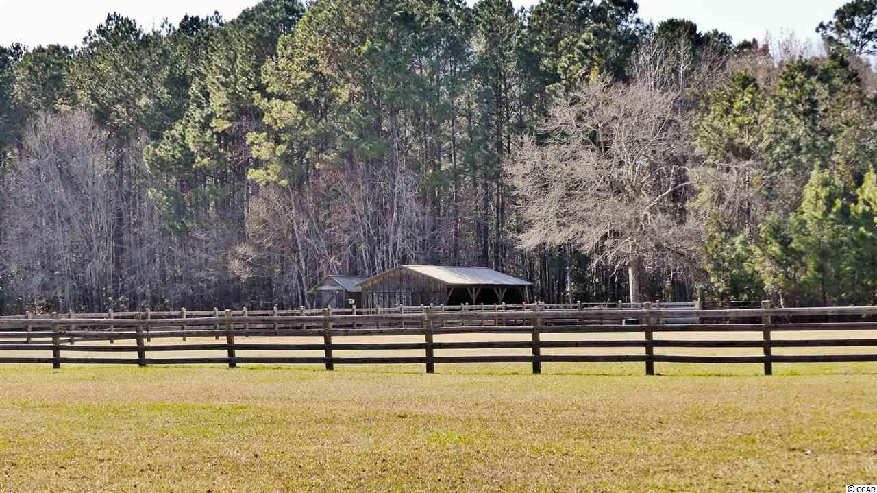309 Weaver Loop Georgetown, SC 29440 - Photo 9 of 25 Gallery Image 9