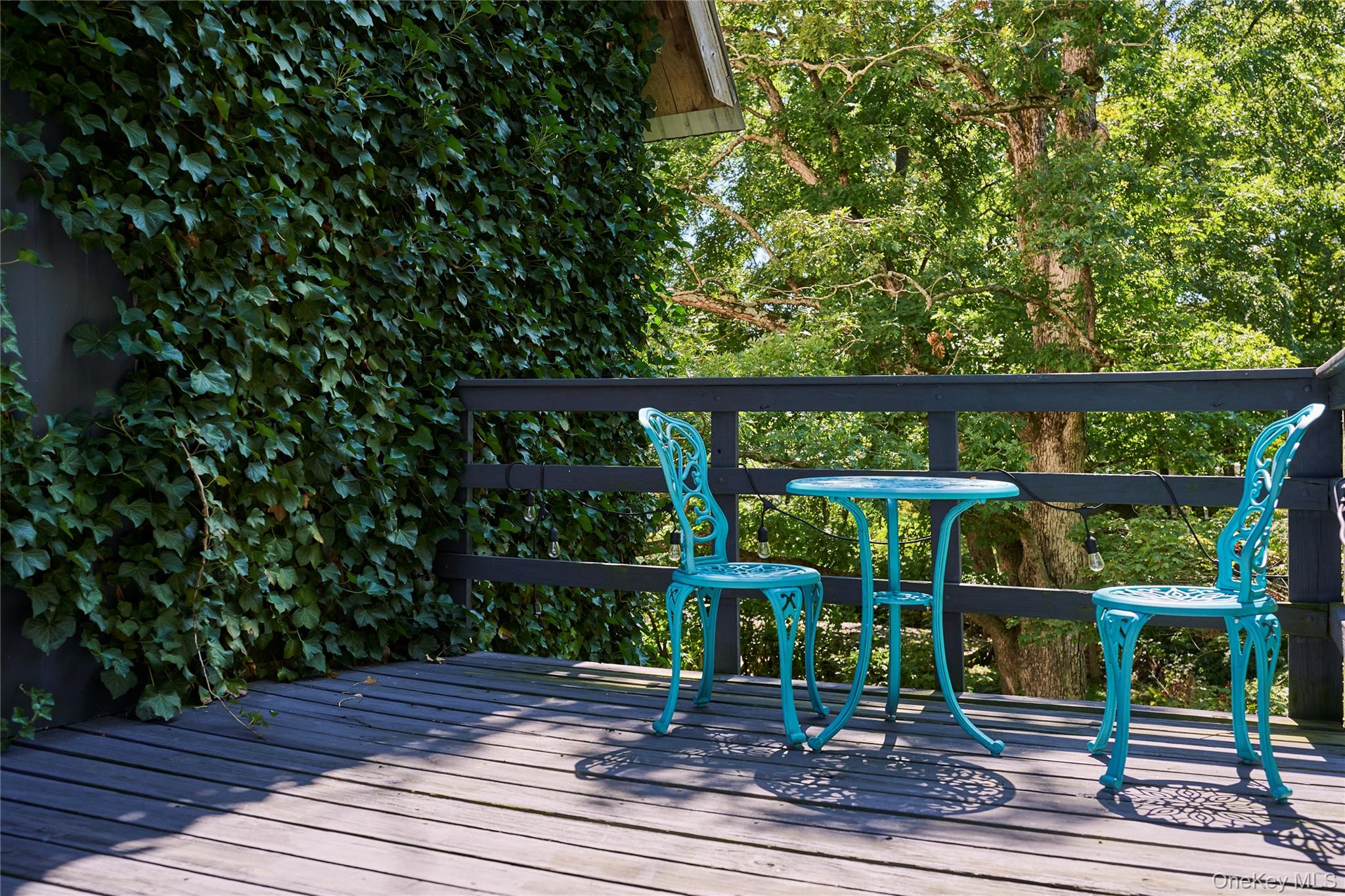 1883 Highway 213 Rifton, NY 12471 - Photo 43 of 48 View of deck