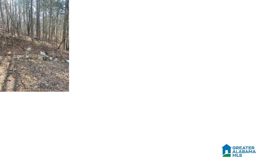 Pluto Circle, Unit 21 Alpine, AL 35014 - Photo 3 of 3