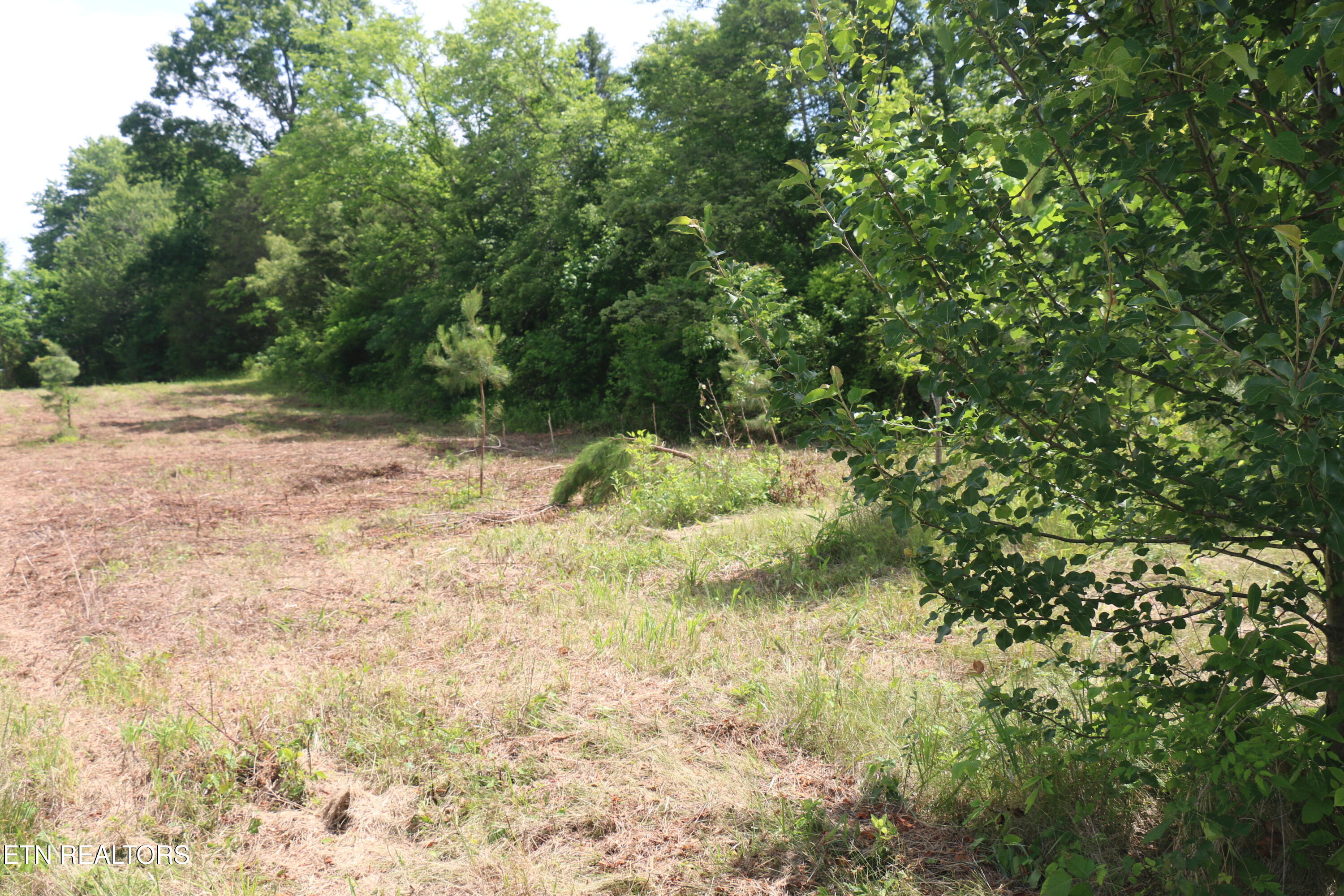 2 North Nopone Valley Road Decatur, TN 37322 - Photo 5 of 6 IMG_8462