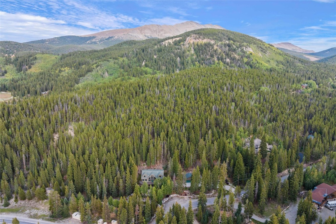 36 Wagon Road Breckenridge, CO 80424 - Photo 50 of 50 Aerial