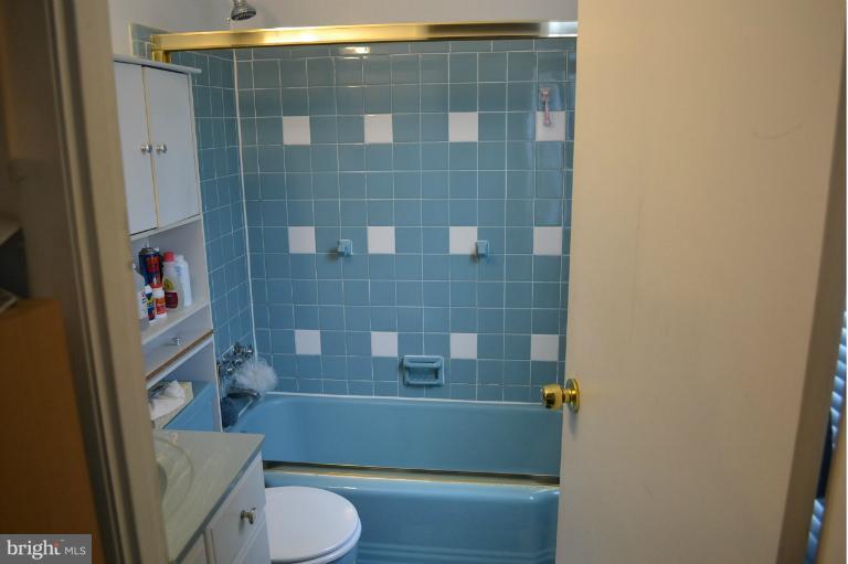 2523 Farringdon Road Baltimore, MD 21209 - Photo 21 of 22 Bath (Master)