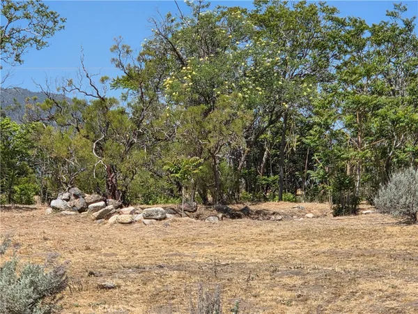 a view of outdoor space with trees