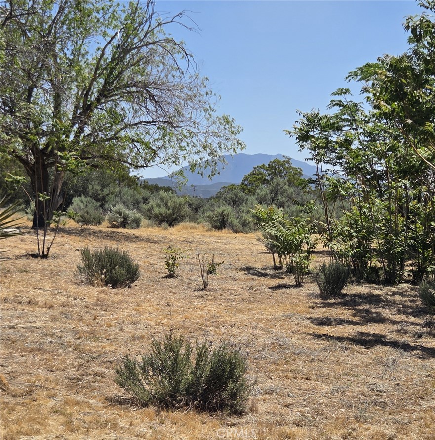 37230 Bautista Canyon Road Anza, CA 92539 - Photo 11 of 28 a view of a yard with wooden fence