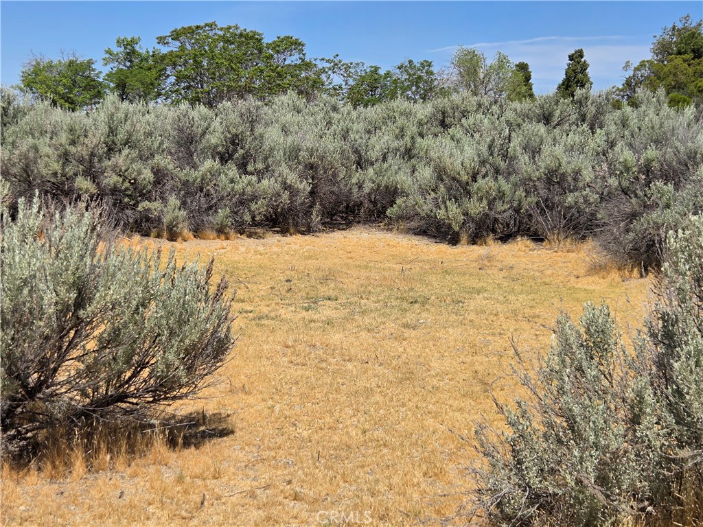 37230 Bautista Canyon Road Anza, CA 92539 - Photo 20 of 28 a view of ocean
