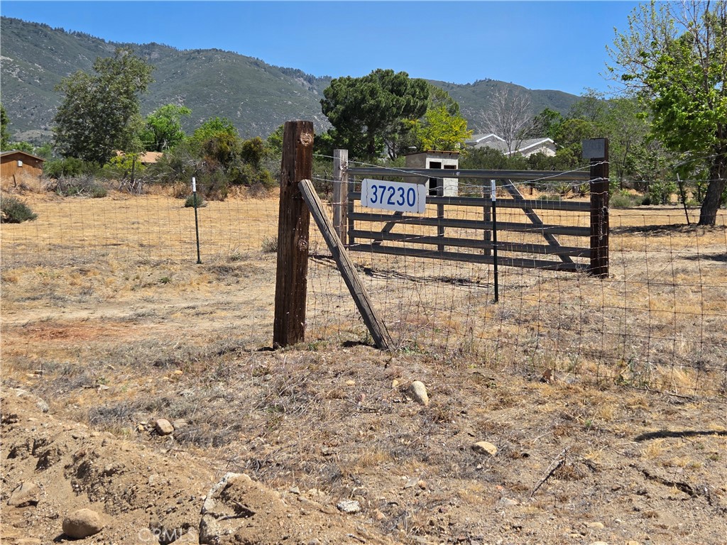 37230 Bautista Canyon Road Anza, CA 92539 - Photo 2 of 28 a view of a bench in front of a house