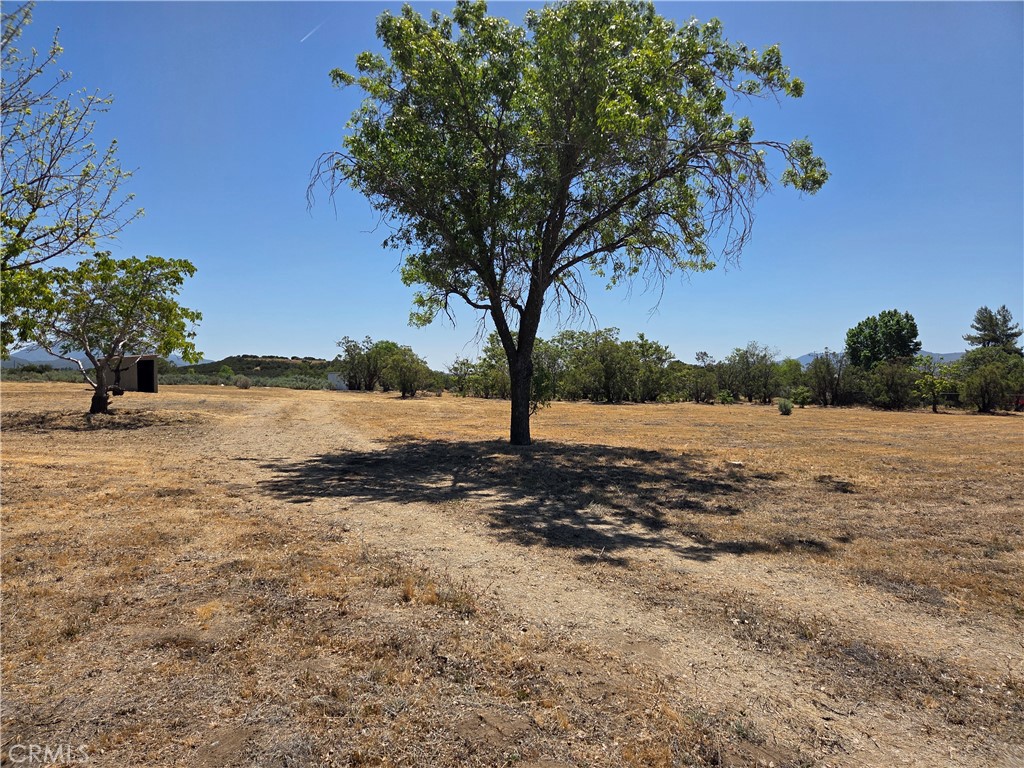 37230 Bautista Canyon Road Anza, CA 92539 - Photo 26 of 28 a view of lake view with tree in background