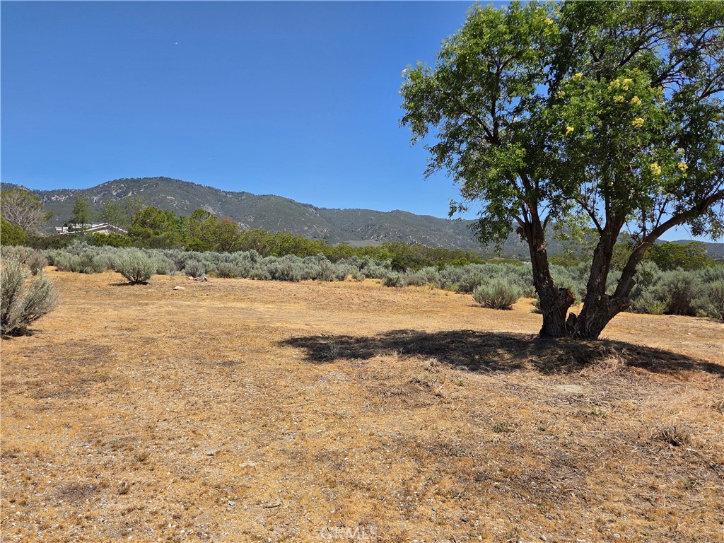 37230 Bautista Canyon Road Anza, CA 92539 - Photo 27 of 28 a view of lake with mountain