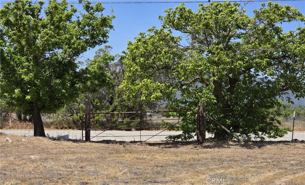 37230 Bautista Canyon Road Anza, CA 92539 - Photo 28 of 28 a view of outdoor space and yard