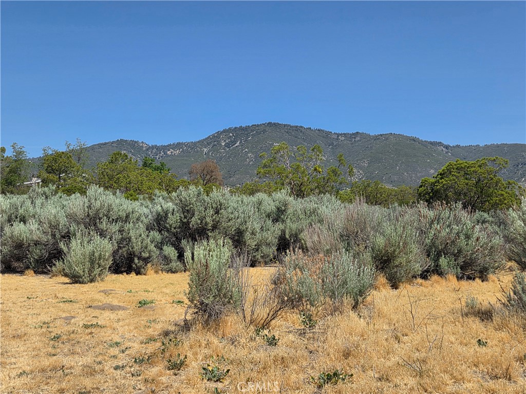 37230 Bautista Canyon Road Anza, CA 92539 - Photo 3 of 28 a view of a snow with a mountain in the background