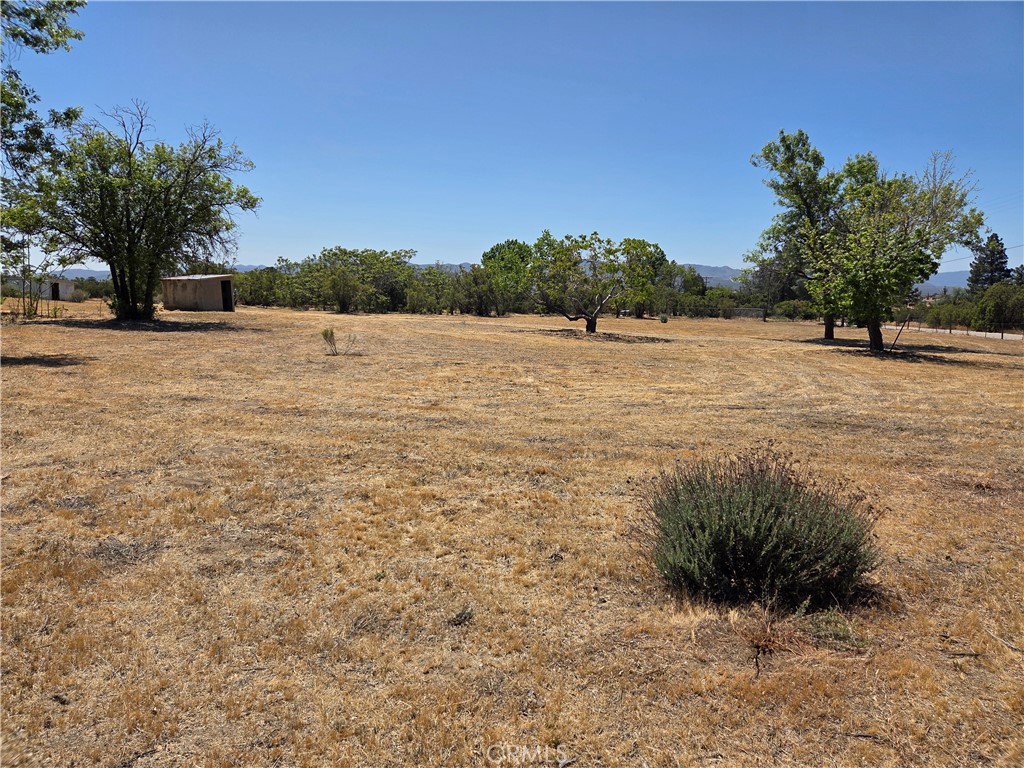 37230 Bautista Canyon Road Anza, CA 92539 - Photo 4 of 28 a view of lake view and trees