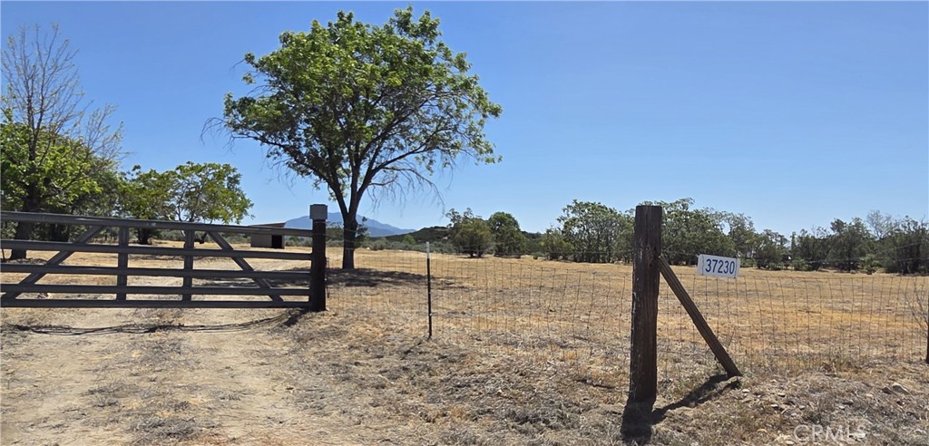 37230 Bautista Canyon Road Anza, CA 92539 - Photo 7 of 28 a view of a park with large trees