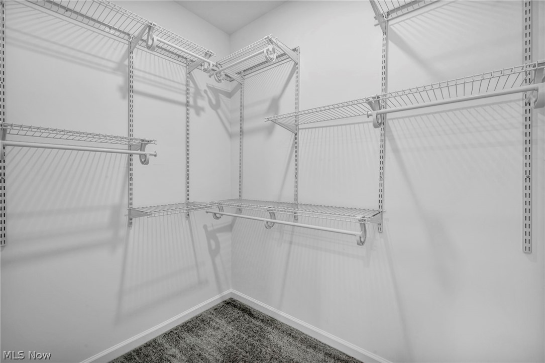 7602 Hickory Road Bedford, OH 44146 - Photo 33 of 36 Walk in closet featuring dark carpet