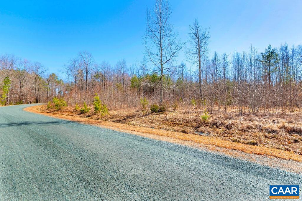 38 Bybee Estates Lane Palmyra, VA 22963 - Photo 14 of 30 a view of a yard with trees