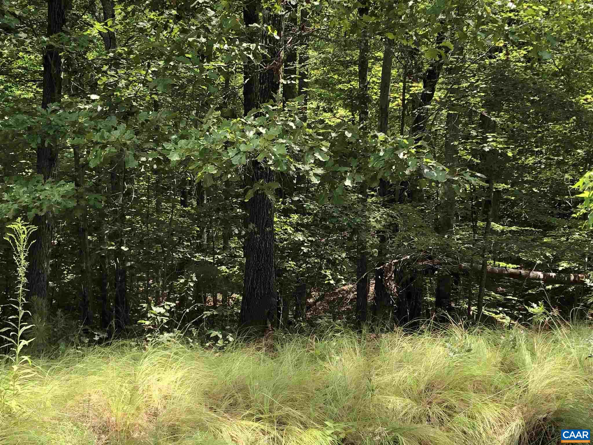 38 Bybee Estates Lane Palmyra, VA 22963 - Photo 16 of 30 a view of a yard