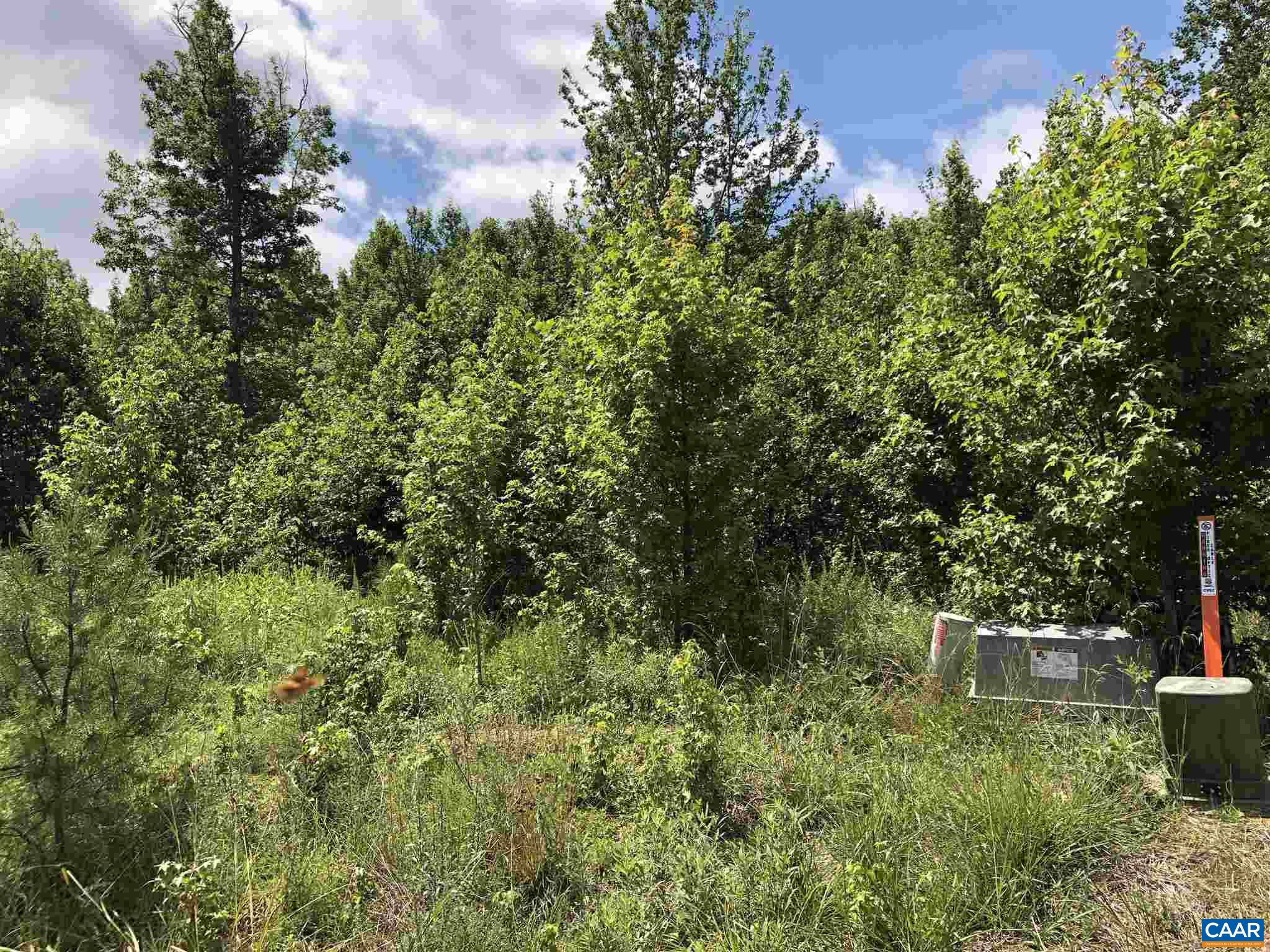 38 Bybee Estates Lane Palmyra, VA 22963 - Photo 19 of 30 a backyard of a house with lots of green space and garden view