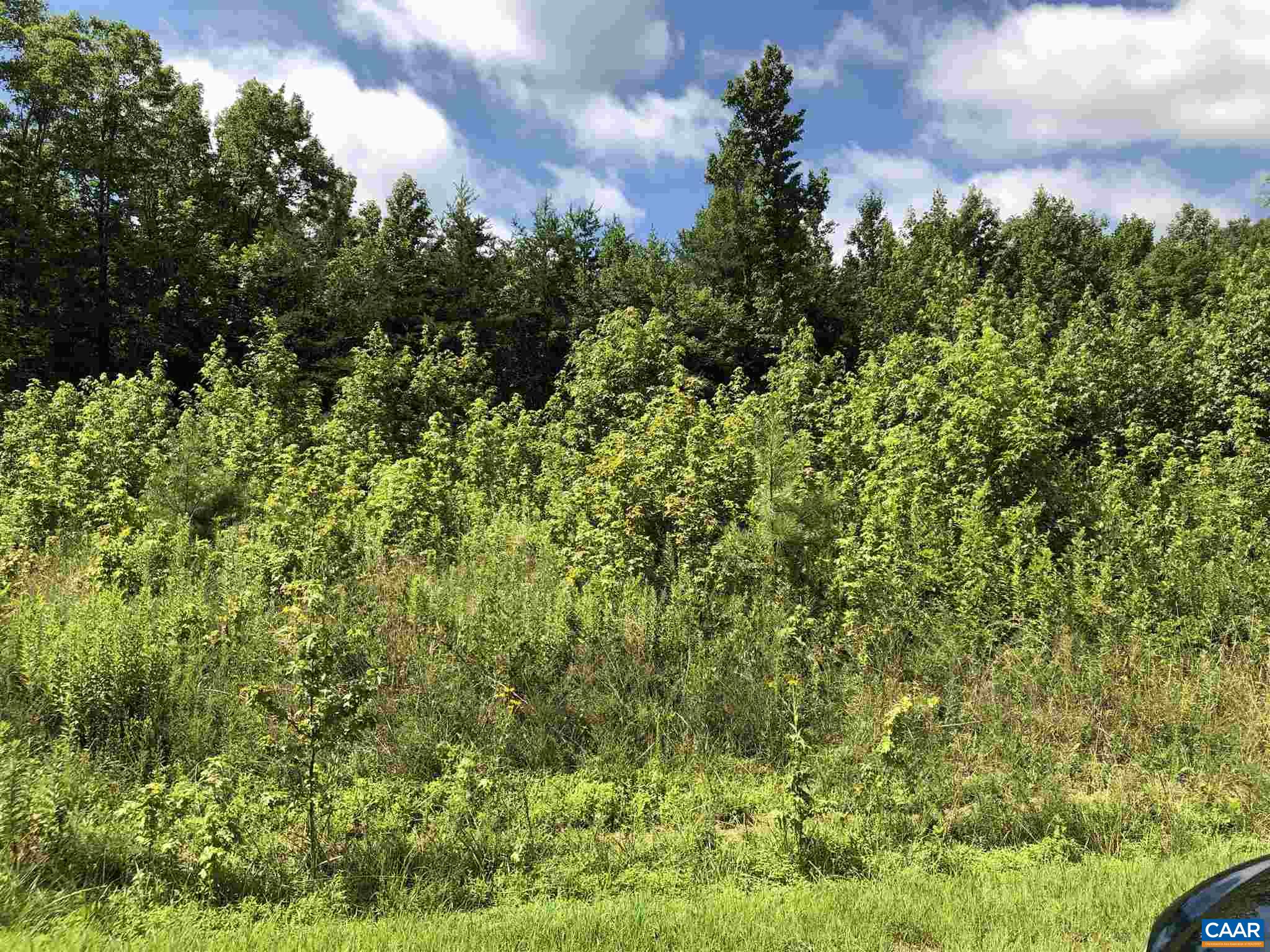 38 Bybee Estates Lane Palmyra, VA 22963 - Photo 22 of 30 a view of a garden
