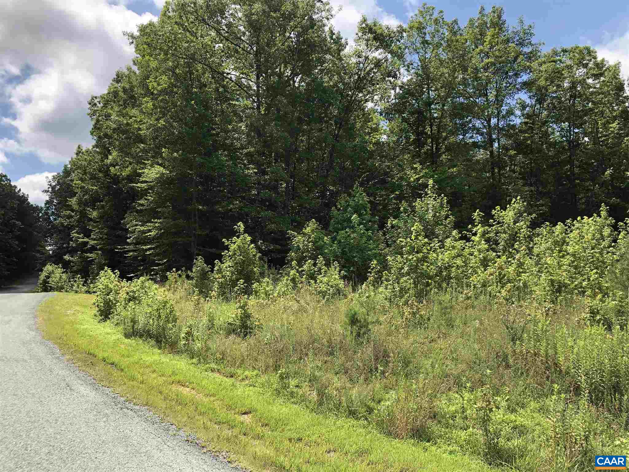 38 Bybee Estates Lane Palmyra, VA 22963 - Photo 24 of 30 a view of a garden with plants