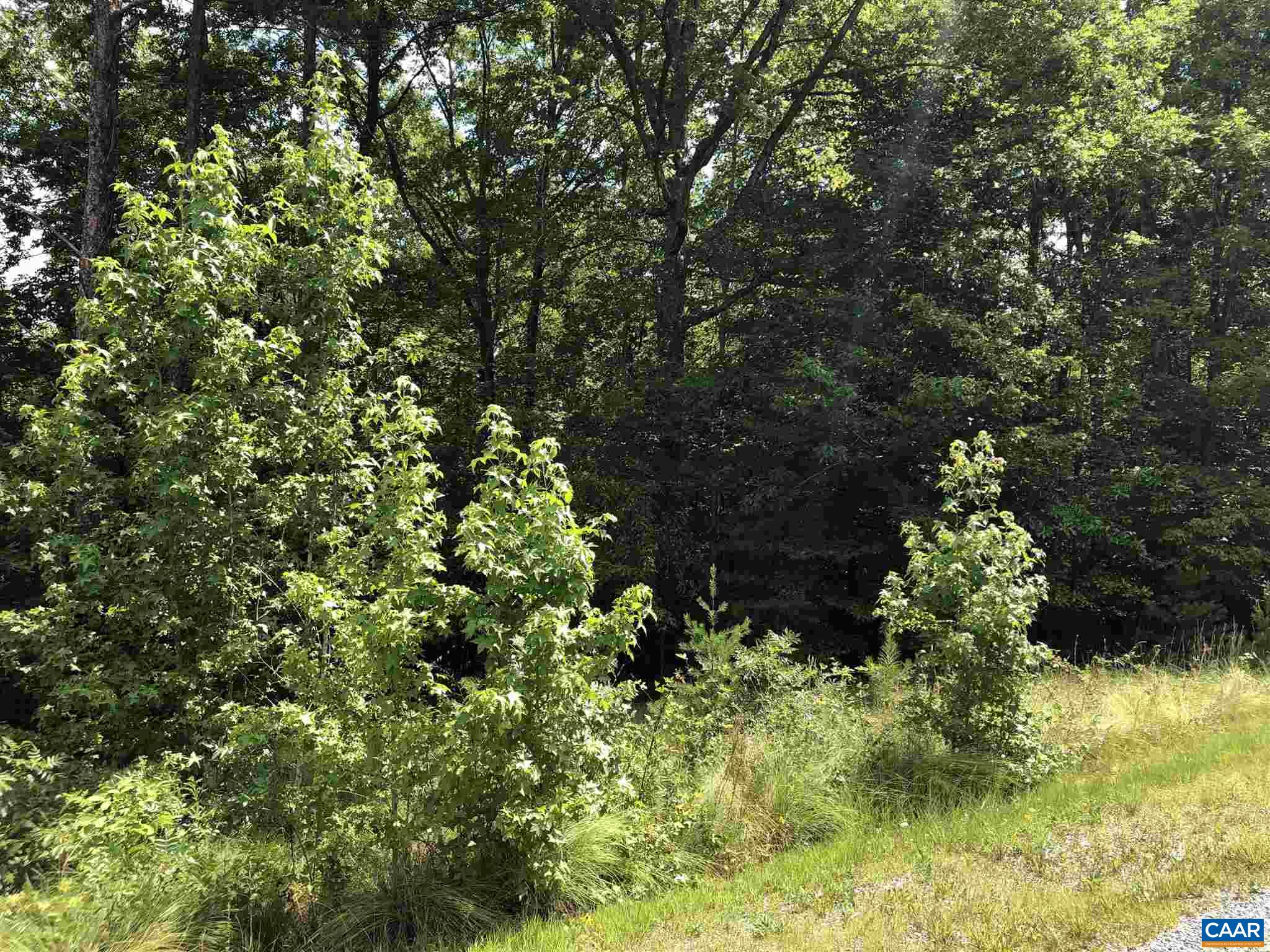 38 Bybee Estates Lane Palmyra, VA 22963 - Photo 26 of 30 a plant view in yard