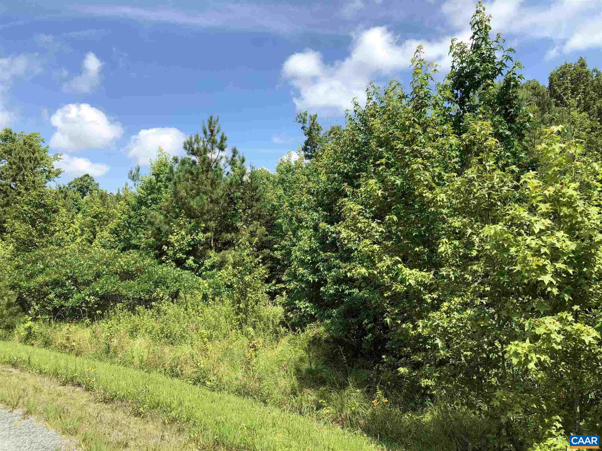 38 Bybee Estates Lane Palmyra, VA 22963 - Photo 27 of 30 a view of a green yard