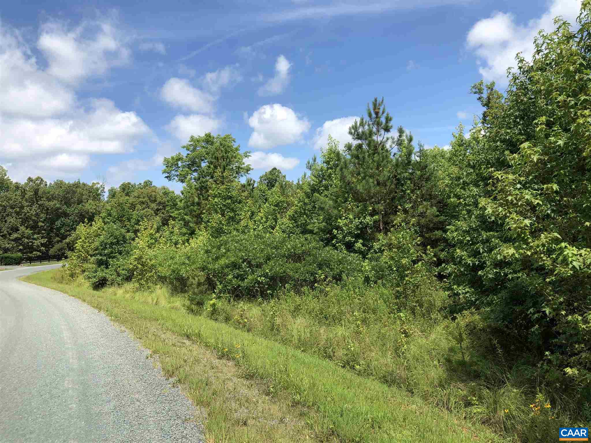 38 Bybee Estates Lane Palmyra, VA 22963 - Photo 28 of 30 a view of a bunch of trees