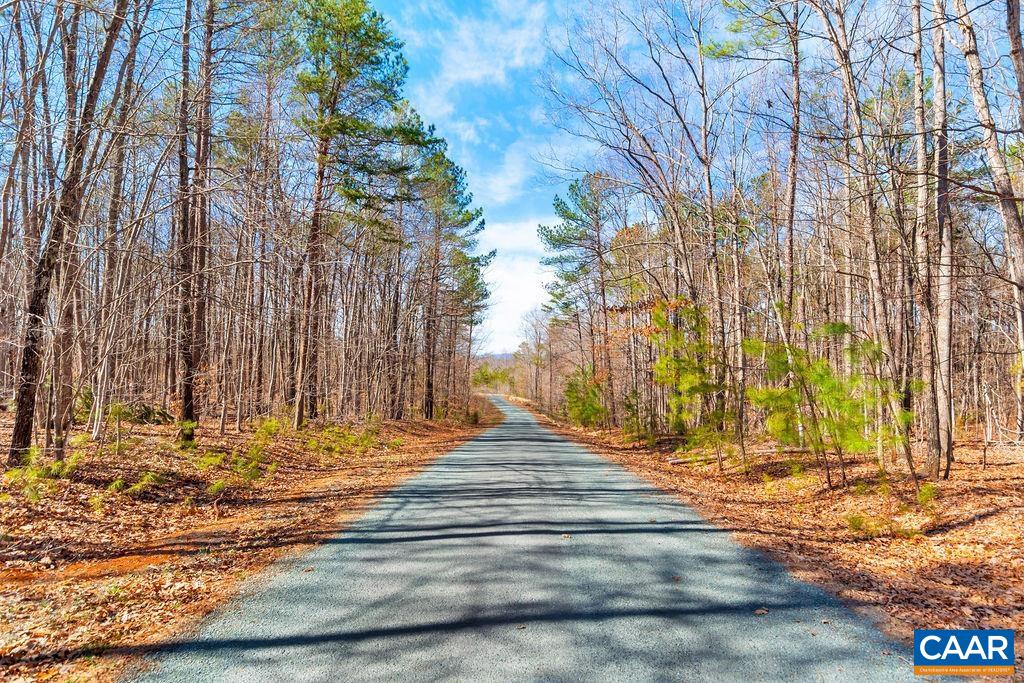 38 Bybee Estates Lane Palmyra, VA 22963 - Photo 4 of 30 a view of house with backyard and trees